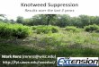 Japanese Knotweed Suppression Results over the last 3 years · Herbicide Broadcast Rate applied Active ingredient(s) Selectivity Arsenal (Habitat) 4 pints/A Imazapyr Not selective