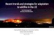 Recent trends and strategies for adaptation to wildfire in ... · Wildfire mitigation: reduce wildfire severity, not wildfire prevention Federal fuel reduction treatments (prescribed