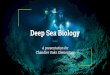 Deep Sea Biology - Microsoft · Deep = Pressure Depth ranges from 1,000 - 10,070m Average depth is 13,000 ft Average habitat on Earth is the deep sea Mount Everest + 1 mile! 5 All