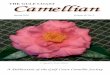 Camellian Vol 46 no 2 Spring 2020 PAGE... · Camellian Vol. 46 No. 2 Spring 2020 3 President’s Message Dennis Hart New Orleans, Louisiana and Laura Holmes, Ken and Kay Clark, Art
