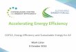 Accelerating Energy Efficiency - EUFORES · The Copenhagen Centre on Energy Efficiency serves as the global Energy Efficiency Hub of SEforALL with prime responsibility to support
