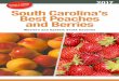 Yecipes inside! South Carolina’s Best Peaches and Berries · PDF file 2017-05-22 · Berries, peaches, plums, nectarines, figs, apples, pumpkins, and muscadines Mondays-Fridays 9am-6pm,