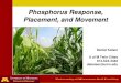 Phosphorus Response, Placement, and Movement_Placement,_Movemen… · Kaiser, Mallarino, Haq, Sawyer, Thompson. ISU Poultry Manure at 0, 2, or 4 tons/acre, Shortly After Application