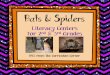 Bats & Spiders - The Curriculum Corner€¦ · arachnophobia a fear of spiders. arachnid venom web. Vocabulary Task #1 Put your words in ABC order. Vocabulary Task #2 Sort your words