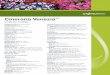 Cineraria Venezia - Syngenta Flowers · 2020-03-02 · Venezia™ Mix Cineraria Venezia™ Culture Guide Botanical name: Pericallis cruenta Product form: Seed Containers: Pints, Quarts,