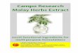 Campo Research Malay Herbs Extract - -Glenn Corp-glenncorp.com/wp-content/uploads/2017/07/Malay-Herbs... · immediate-results, New Food Ingredients for Nutraceuticals & Functional