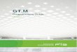 GT.M Programmer's Guide - Pair Networkstinco.pair.com/bhaskar/gtm/doc/books/pg/UNIX_manual/pg...GT.M Programmer's Guide Programmers Guide GT.M Programmer's Guide V6.3-013 June 30,