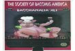  · the society of bacchus america 1 959 - 1999 saturday, september 25. 1999 east meets west in the south on meid island memphis, tennessee mal f