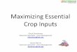 Maximizing Essential Crop Mid TN - Maximizing...آ  2020-04-13آ  Gross income is TN state average yield