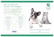 Join our Pets 1st Health Club today! · 2018-11-09 · Our Pets 1st Health Club works best alongside a separate Pet Insurance policy - all routine care is covered by the former, whilst
