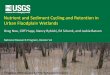 Nutrient and Sediment Cycling and Retention in Urban Floodplain … G N… · Treatise of Geomorphology. Modified from NRC 2002. Difficult Run Floodplain Study measuring sediment