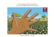 Five Fingers Picture Block on Good Agricultural Practices · on Good Agricultural Practices Cotton made in Africa 3. Correct Plant Population g 4. Early Weeding 1. Early Land Preparation