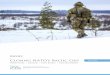 Closing NATO’s Baltic Gap MAY 2016 - ICDS€¦ · the Baltic states, Russia is creating new divisions and armies and fielding cutting-edge capabilities in their vicinity. This is
