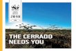 THE CERRADO NEEDS YOU · The Cerrado Working Group, a spin-off of the Soy Working Group responsible for the Soy Moratorium in the Amazon, has become an important space for discussions