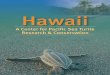 Turtle Excellence FINAL - Western Pacific Fishery Council€¦ · turtle named Kauila, the daughter of Honupookea, who was born on the black sand beach of Punaluu on the island of