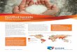 Fortified kernels · straightforward two-step process: 1. Broken rice grains are ground into rice flour and mixed with water and vitamins, minerals and/or other nutrients to produce