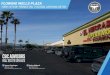 FLOWING WELLS PLAZA€¦ · FLOWING WELLS PLAZA | 1280-1370 W. PRINCE RD., TUCSON, AZ 85705 7 FINANCIAL SUMMARY Price $7,750,000 Down 35% Current Cap 7.8% Pro Forma Cap 9.5% Price/SF