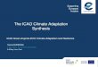 The ICAO Climate Adaptation Synthesis Airports... · Synthesis ICAO Green Airports 2019: Climate Adaptation and Resilience Rachel BURBIDGE Policy Officer: Environment and Climate