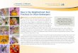 Bees in the Neighborhood: Best Practices for Urban ... · Earth rely to some degree on pollinators in order to set seed or fruit. Pollinators are required for producing 15 to 30%