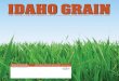 IDAHO GRAINIDAHO GRAIN SPRING 2008WHEAT BARLEY WHEAT & BARLEY Published quarterly by Idaho Grain Producers Association 821 W. State St. • Boise, Idaho 83702-5832 208.345.0706 Travis
