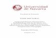 TESIS DOCTORAL - Universidad de Navarradadun.unav.edu/bitstream/10171/43670/1/Tesis_GilIceta.pdf · Heads gathered, we state that Ms. Larraitz Gil Iceta meets the requirements to