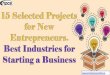 15 Selected Projects for New Entrepreneurs. Best Industries for … · 2018-09-15 · Dried Figs, Dried Apricots and Other Tropical and Exotic Fruits (Apple, Mango, Papaya, Pineapple,