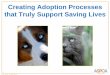 Creating Adoption Processes that Truly Support Saving Lives · 5 © 2012 ASPCA®.All Rights Reserved. Creating Adoption Processes that Truly Support Saving Lives
