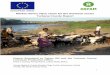 Market-driven value chain for the livestock sector Turkana County … · 2018-07-09 · marketing study combining the use of Rapid Participatory Rural Appraisal (RPRA) and Value Chain