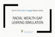 RACIAL WEALTH GAP LEARING SIMULATION€¦ · What Is the Racial Wealth Gap Learning Simulation? Service-based non-profits Advocacy non-profits Research institutions Community stakeholders