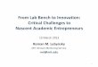 From Lab Bench to Innovation: Critical Challenges to ......Mar 15, 2013  · From Lab Bench to Innovation: Critical Challenges to Nascent Academic Entrepreneurs Roman M. Lubynsky MIT