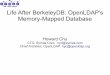 The LDAP guys. Life After BerkeleyDB: OpenLDAP's ......The LDAP guys. TM A Background API Inspired by Berkeley DB (BDB) OpenLDAP has used BDB extensively since 1999 Deep experience