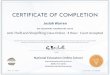 CERTIFICATE OF COMPLETION · This certifies that the above named participant has successfully fulfilled the requirements for a certificate of completion for the above-named class