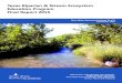 Texas Riparian & Stream Ecosystem Education Program Final ...twri.tamu.edu/media/1429/tr-479.pdf · Texas A&M Forest Service, TTU Llano River Field Station, TCEQ, and Texas State