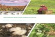 Agriculture Fisheries and Food Authority · Agriculture and Food Authority (AFA) 2017/18 – 2021/22 Strategic Plan. Agriculture and Food Authority (AFA) 2017/18 – 2021/22 Strategic