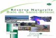 Réserve Naturelle Baie de Saint-Brieuc · TV Breiz - 5 juin 2005 - Semaine du développement durable France 3 - 19/20 édition Régionale - 5 juin 2005 - Nettoyage de plage à Hillion