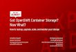 Now What? Got OpenShift Container Storage? · a primer on container storage in short: glusterfs in pods, orchestrated by openshift + rest api containerized red hat gluster storage