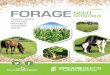 VOLUME 3 FORAGE - speareseeds.ca Forage Catalogue... · Ladino types. A good addition to pasture mixes. In Mixes: 1-2 lbs. per acre CALIFORNIA LADINO CLOVER Tall growing, branch rooted,