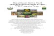 Great Basin Native Plant Selection and Increase Project FY08 … · 2016-06-23 · Private seed industry . Great Basin Native Plant Selection and Increase Project FY08 Progress Report