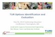TUR Options ID Evaluation [Read-Only] · For each toxic in each production unit: TUR Option ID and Evaluation Process ... Assessment System ... Carcinogenic Mutagenic Reproductive