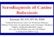 Serodiagnosis of Canine Babesiosisclione.ne.jp/~sample/sentan/jsps/img/ILRI-Xuan.pdf · Serodiagnosis of Canine Babesiosis Xuenan XUAN, DVM, PhD ... Vaccine development Diagnostic