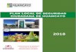 Plan local de seguridad ciudadana de Huancayo - 201845.5.58.68/documentos/2018/pdsc_2018.pdf · 2019-05-06 · las Juntas vecinales y establece el día de las Juntas vecinales. DS