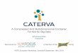 A Compressed And Multidimensional Container For Not So Big ...€¦ · What is Caterva? • It is an open source C library and a format that allows to store large multidimensional,