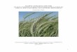 GLOBAL STRATEGY FOR THE CONSERVATION WITH ENHANCED …€¦ · provide a framework for the efficient and effective ex situ conservation of the globally important collections of wheat,