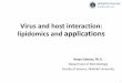 Virus and host interaction: lipidomics and applications · Innate immune evasion. Membrane rearrangement. Virion morphogenesis. Energy source. Lipid biosynthesis. ... antiviral strategies