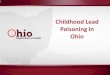 Childhood Lead Poisoning in Ohio · • ODH covers 83 of 88 counties • 11 delegated boards of health • Total of 40 investigators statewide • When the Director becomes aware