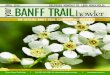 BANFF TRAILDELIVERED MONTHLY TO 1,800 HOUSEHOLDS howler · 2016-03-28 · BANFF TRAIL I APRIL 2016 3 Banff Trail Community Association 2115 - 20 Avenue NW Calgary, AB, T2M 1J1 Phone: