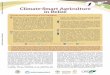 Climate-Smart Agriculture in Belize€¦ · agricultural productivity and farmers’ incomes, adapting and building resilience to climate change, and reducing and/or removing greenhouse