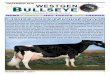 Reproduction: Micheret Infrarouge RedInfrarouge · placed second in the Mature Cow Class and was named Best Udder. Zita is the real deal, having produced 43,662kg of 3.9%F and 3.2%P