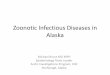 Zoonotic Infectious Diseases in Alaskaleoimages.blob.core.windows.net/hubfiles/ALASKA/MichaleBruce_Al… · Alaska Michael Bruce MD MPH Epidemiology Team Leader Arctic Investigations