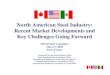 North American Steel Industry: Recent Market Developments ...North American Steel Industry: Recent Market Developments and . Key Challenges Going Forward . OECD Steel Committee . May